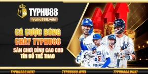 Cá cược bóng chày Typhu88 – Sân chơi đỉnh cao cho tín đồ thể thao