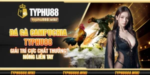 Đá gà Campuchia Typhu88 – Giải trí cực chất thưởng nóng liền tay