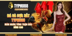 Đá gà cựa sắt Typhu88 – Mãn nhãn từng trận đấu đỉnh cao