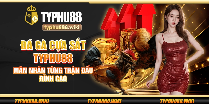 Đá gà cựa sắt Typhu88 – Mãn nhãn từng trận đấu đỉnh cao