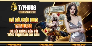 Đá gà cựa dao Typhu88 – Cơ hội trúng lớn với từng trận đấu gay cấn