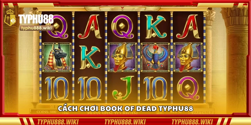 Hướng dẫn cách chơi Book of Dead Typhu88