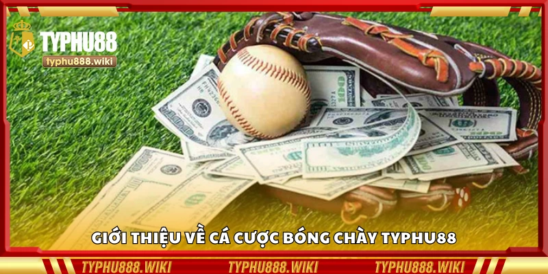 Sơ lược về cá cược khúc côn cầu tại Typhu88