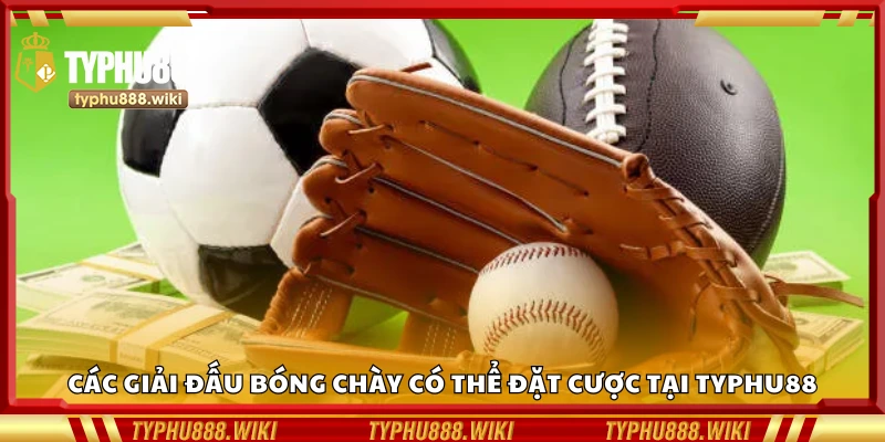 Khám phá hình thức cược khúc côn cầu tại Typhu88