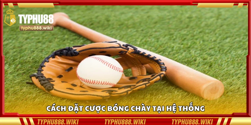 Chia sẻ kinh nghiệm cược khúc côn cầu hiệu quả