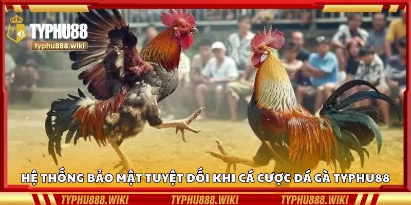 Hệ thống bảo mật tuyệt đối khi cá cược đá gà Typhu88