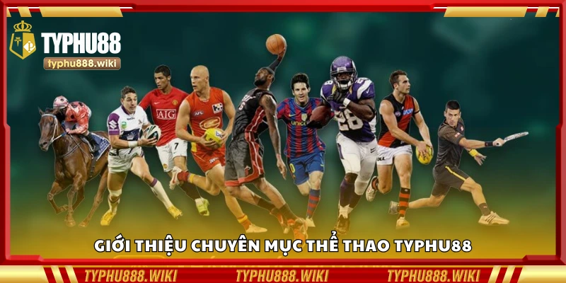 Tổng quan chuyên mục thể thao Typhu88