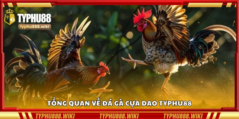 Giới thiệu về đá gà cựa dao Typhu88