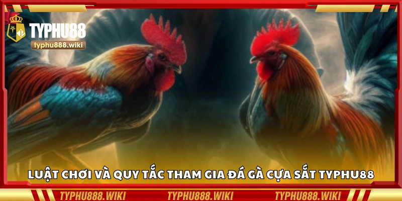 Tìm hiểu luật chơi và quy tắc tham gia đá gà cựa sắt Typhu88