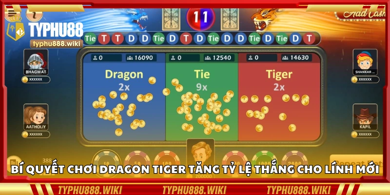 Các bí quyết chơi Dragon Tiger tăng tỷ lệ thắng